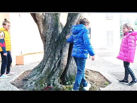 MONUMENTI VERDI A PORTOFERRAIO